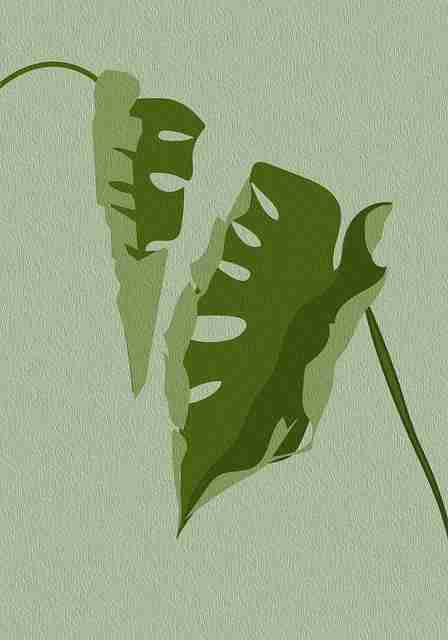 黑料网app被拍到深度扒皮帖合集完整录音事件全貌