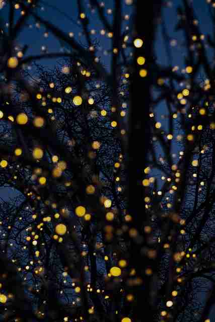 【蘑菇视频电脑版】闪耀边界探测扩展 - 云端视听