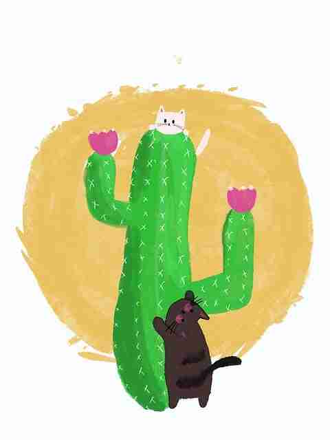 独家黑料官网前瞻热门话题