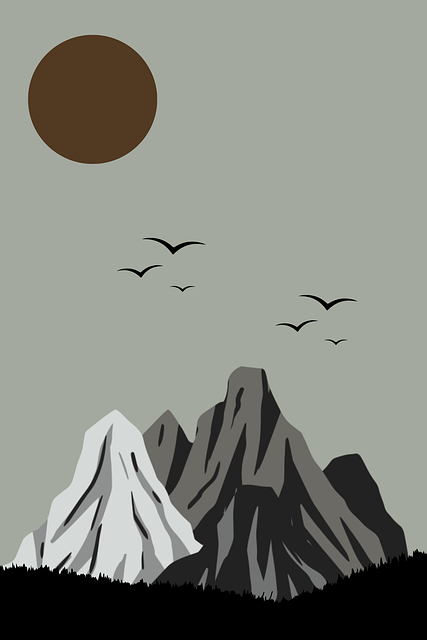 【p站官网入口】零距离影像革命盘点 - 进阶教程，p站zero