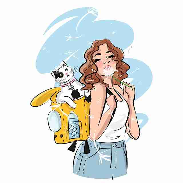 【蘑菇视频电脑版】重磅幕后线索扩展 - 硬核干货，蘑菇视频现在改成什么名字