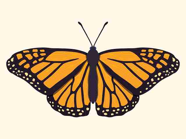 【p站官网入口】隐藏版多维宇宙探索 - 超感体验，p站官方网址多少