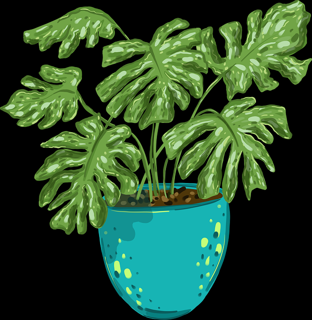 【蘑菇影视在线观看】立体化热搜锋芒冲击 - 进阶教程，蘑菇免费